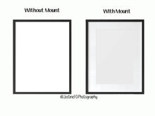 Load image into Gallery viewer, Our Family Name Prints Wall Art Decor Customizable Duck Family Duckling Picture Customized Prints Anniversary Add Your Names / Dates